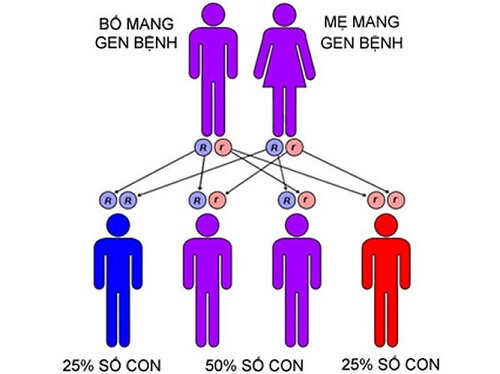 Mắc bệnh ung thư tinh hoàn do di truyền